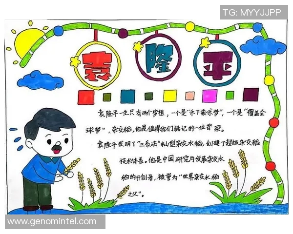 史鸿飞的传奇人生与不懈追求：从平凡到卓越的奋斗故事